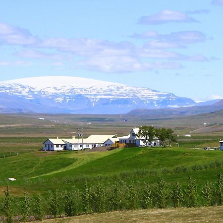 Guesthouse Steindorsstadir, West Iceland Reykholt  Buitenkant foto