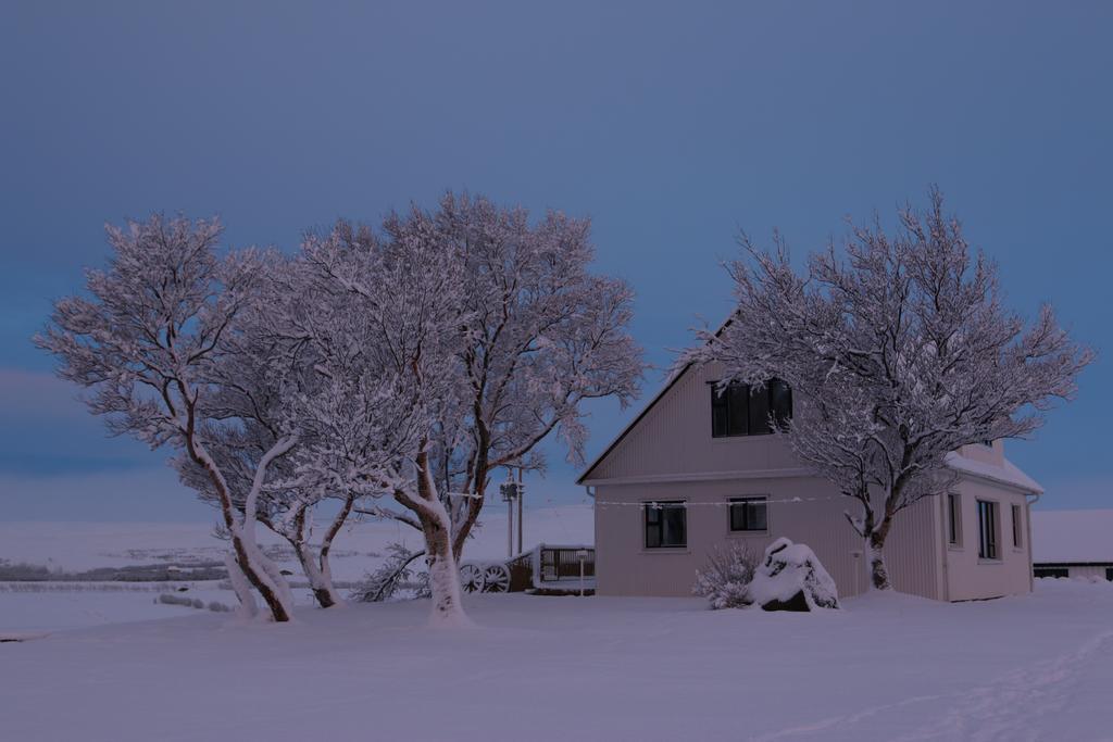 Guesthouse Steindorsstadir, West Iceland Reykholt  Buitenkant foto