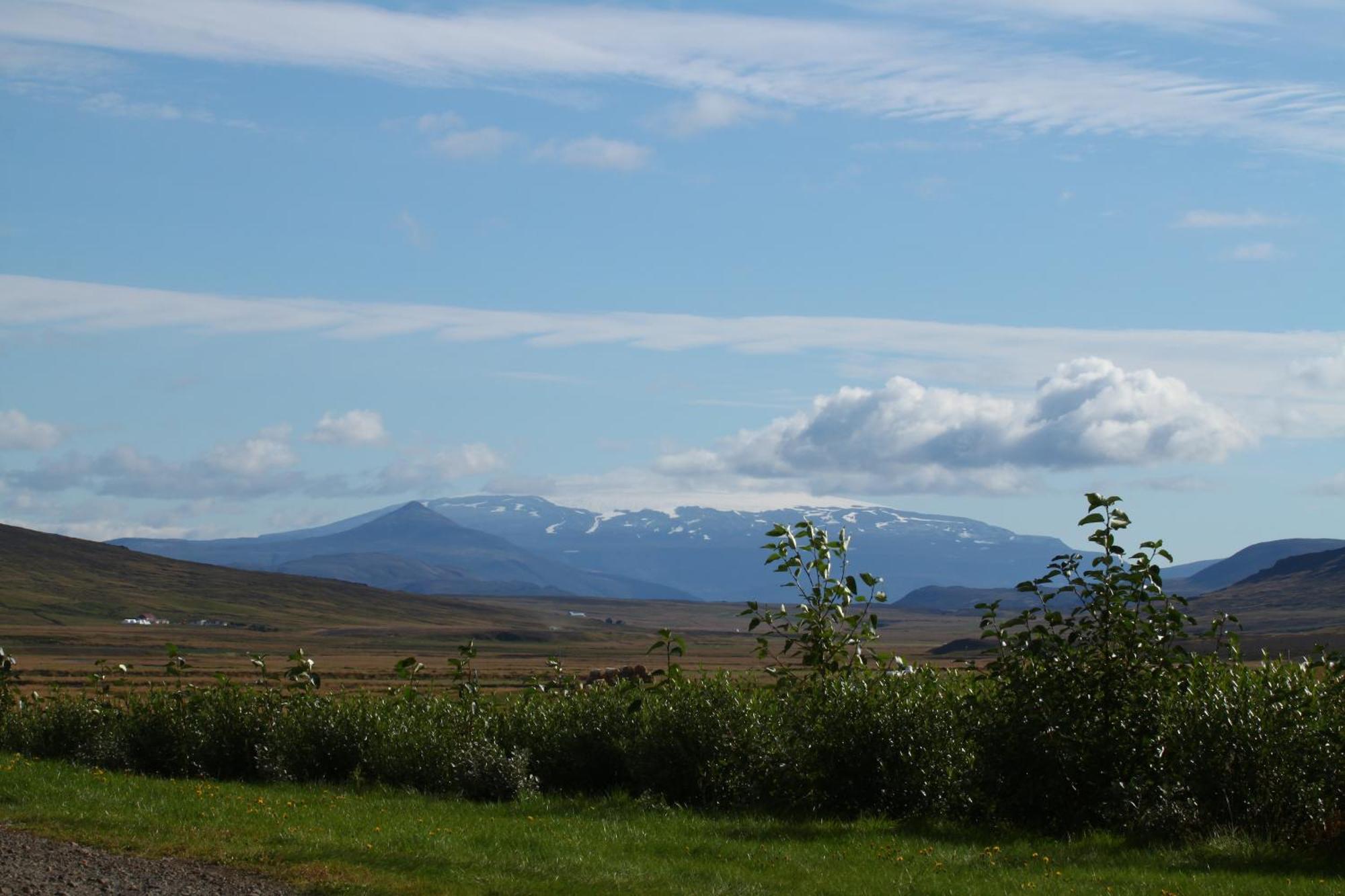 Guesthouse Steindorsstadir, West Iceland Reykholt  Buitenkant foto