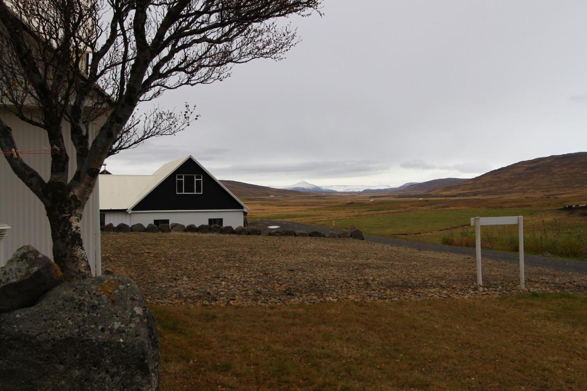 Guesthouse Steindorsstadir, West Iceland Reykholt  Buitenkant foto