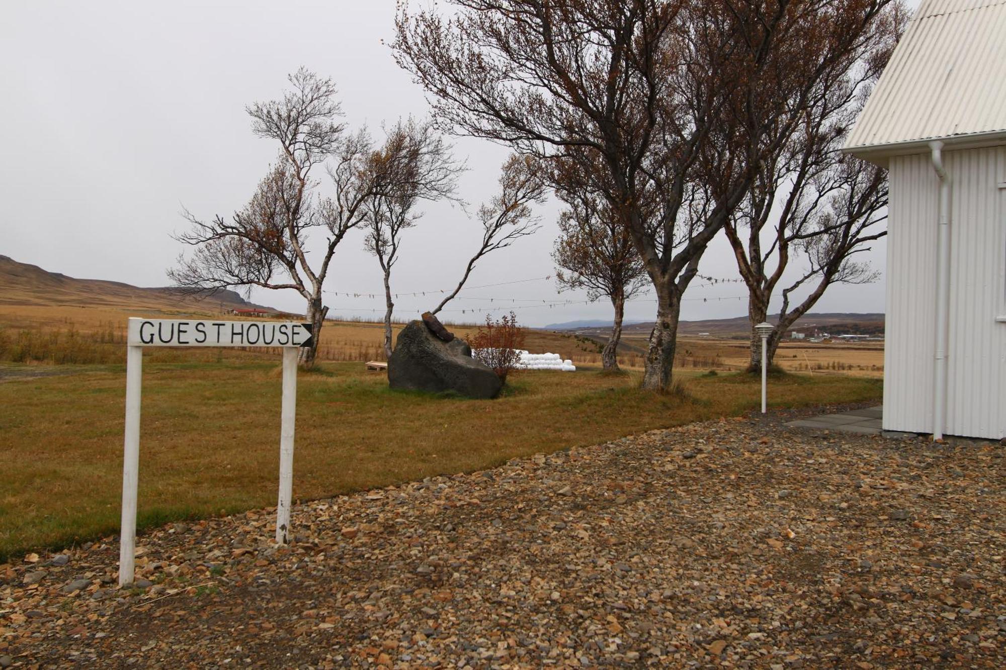 Guesthouse Steindorsstadir, West Iceland Reykholt  Buitenkant foto