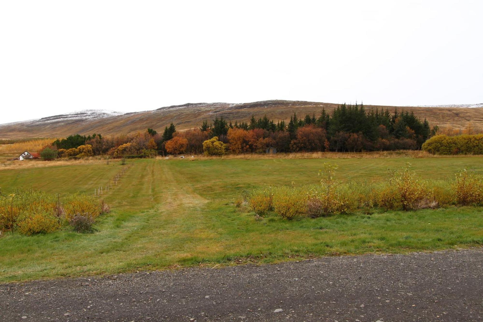 Guesthouse Steindorsstadir, West Iceland Reykholt  Buitenkant foto