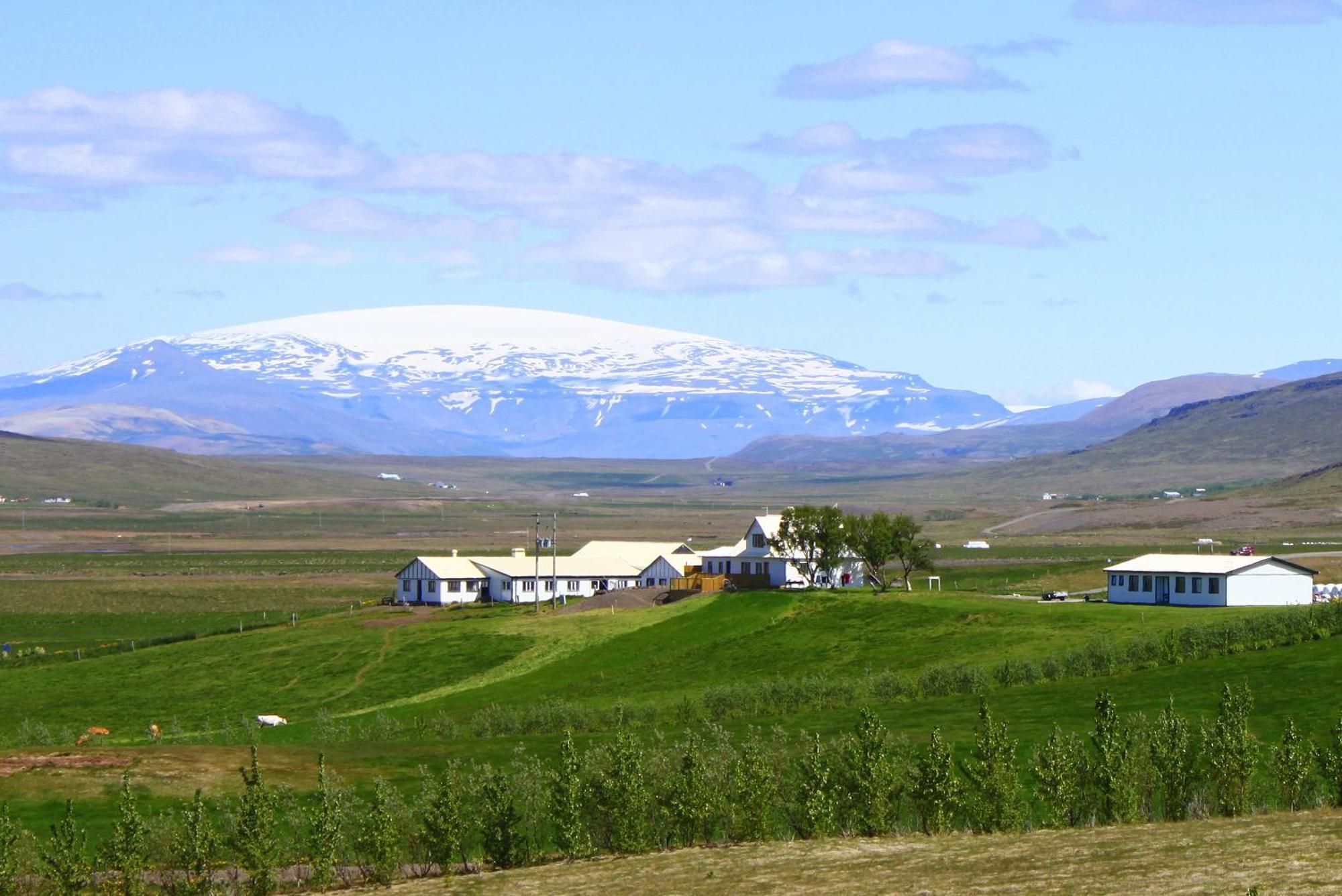 Guesthouse Steindorsstadir, West Iceland Reykholt  Buitenkant foto