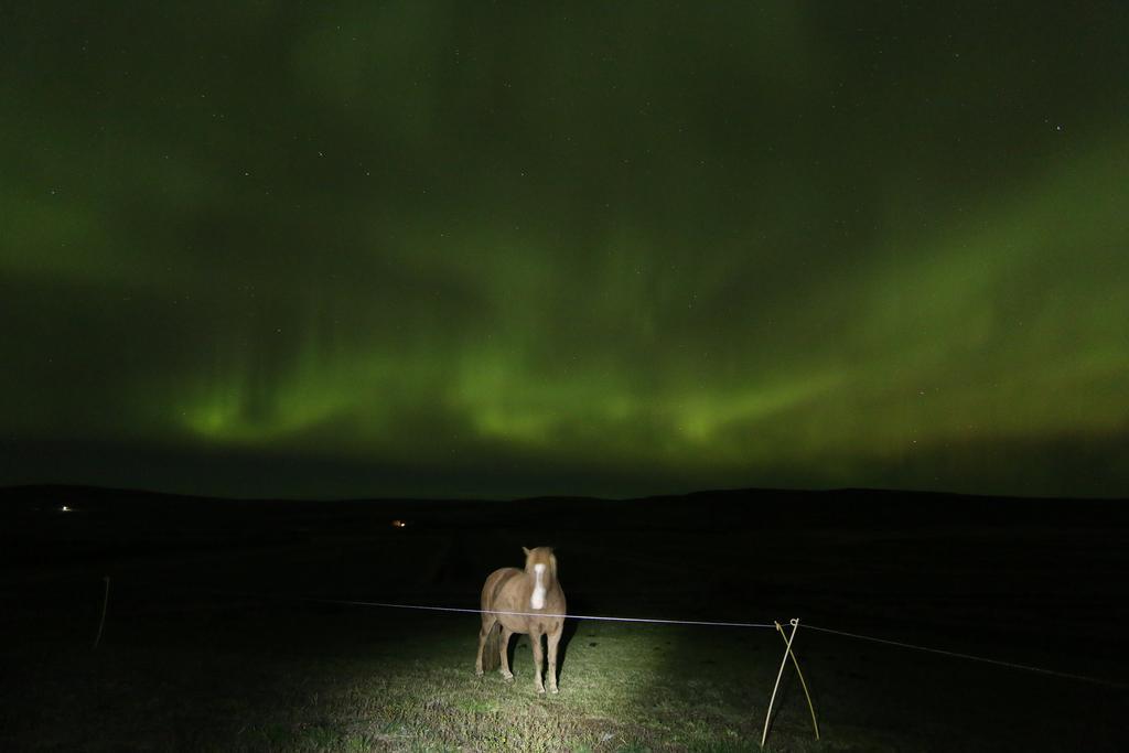 Guesthouse Steindorsstadir, West Iceland Reykholt  Buitenkant foto